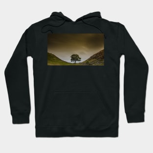 Sycamore Gap Hadrians wall Hoodie